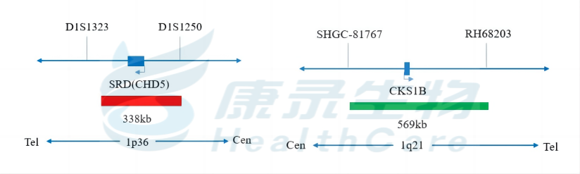 中国·拉斯维加斯(3499·官方认证)网站-Officialwebsite